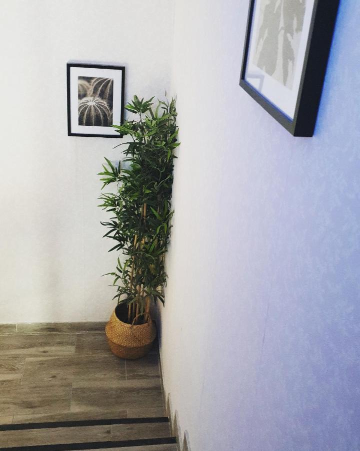 Alojamiento Weier La Cistérniga Dış mekan fotoğraf